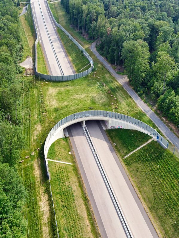 Tierschutzbrücke A49